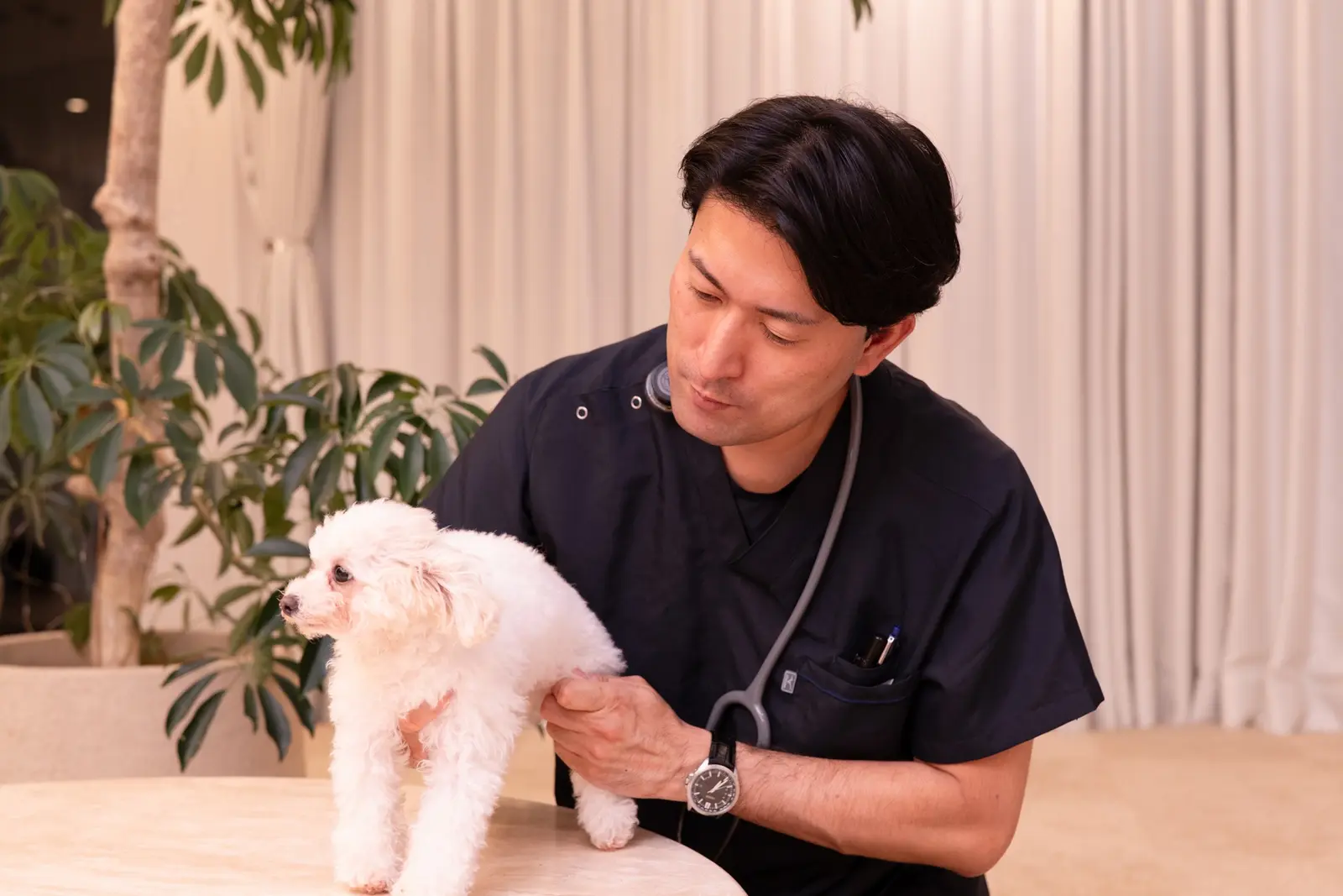 代表取締役 浅沼直之